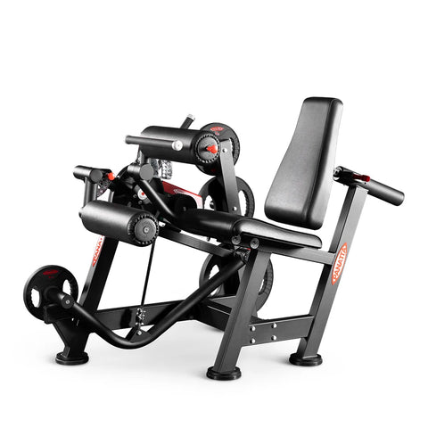 Panatta Seated Leg Curl Power One Line