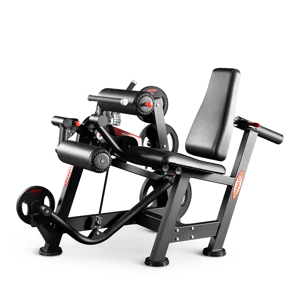 Panatta Seated Leg Curl Power One Line