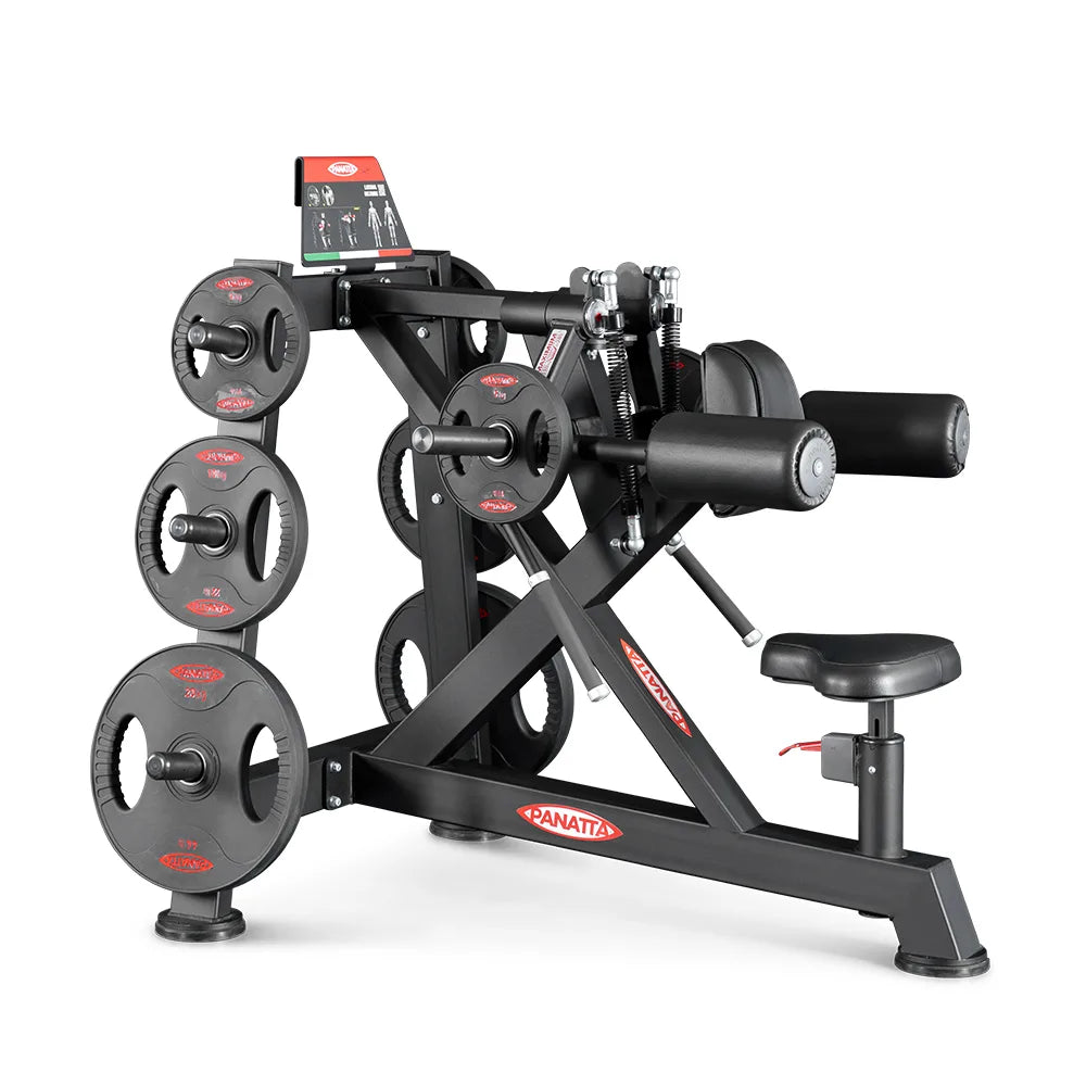 Panatta Lateral Deltoids Power One Line