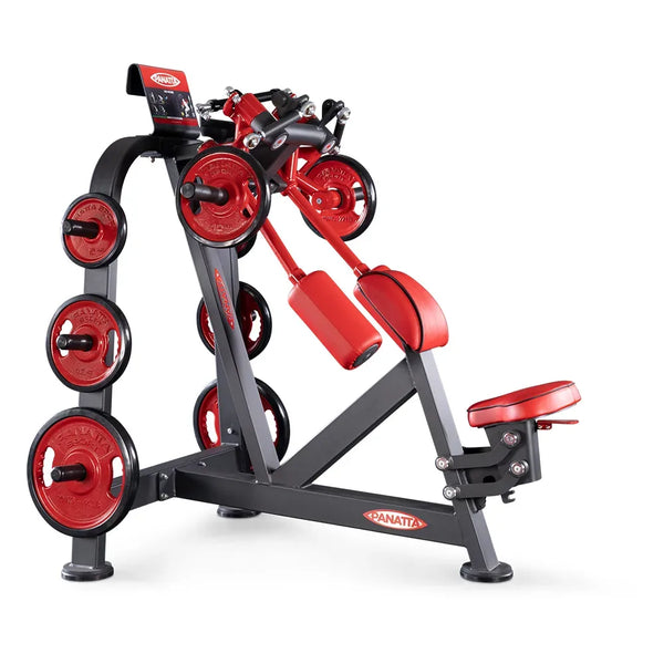 Panatta Back Deltoids