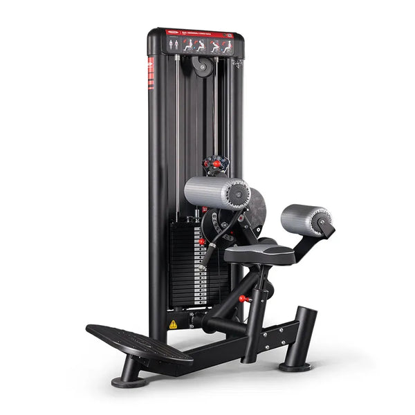 Panatta Dual Abdominal and Lower Back