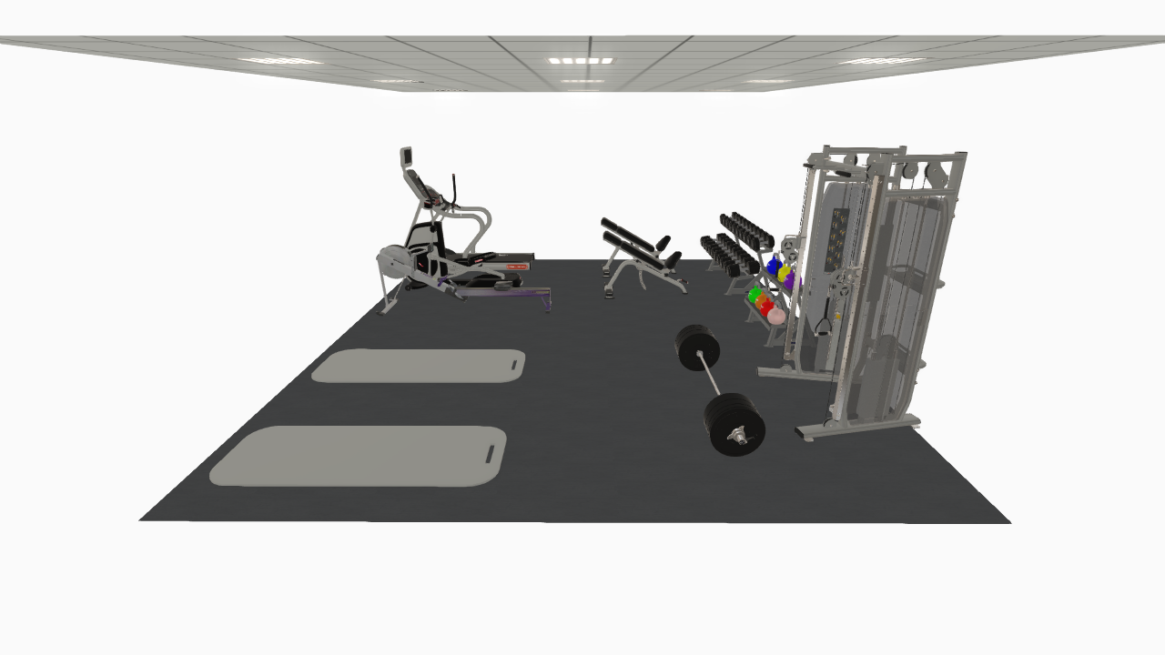 Office or Shed Gym 500 Square Foot High End – Strength and Fitness