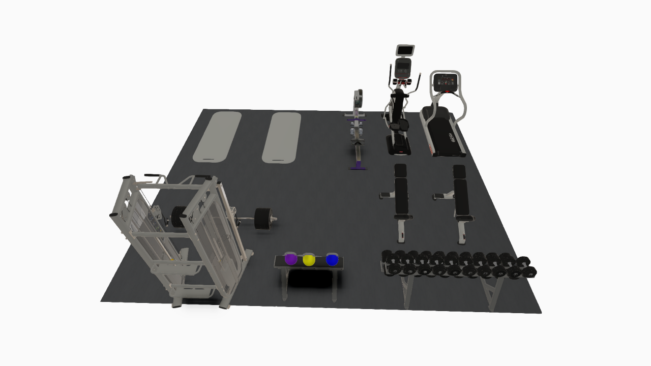 Office or Shed Gym 500 Square Foot High End – Strength and Fitness